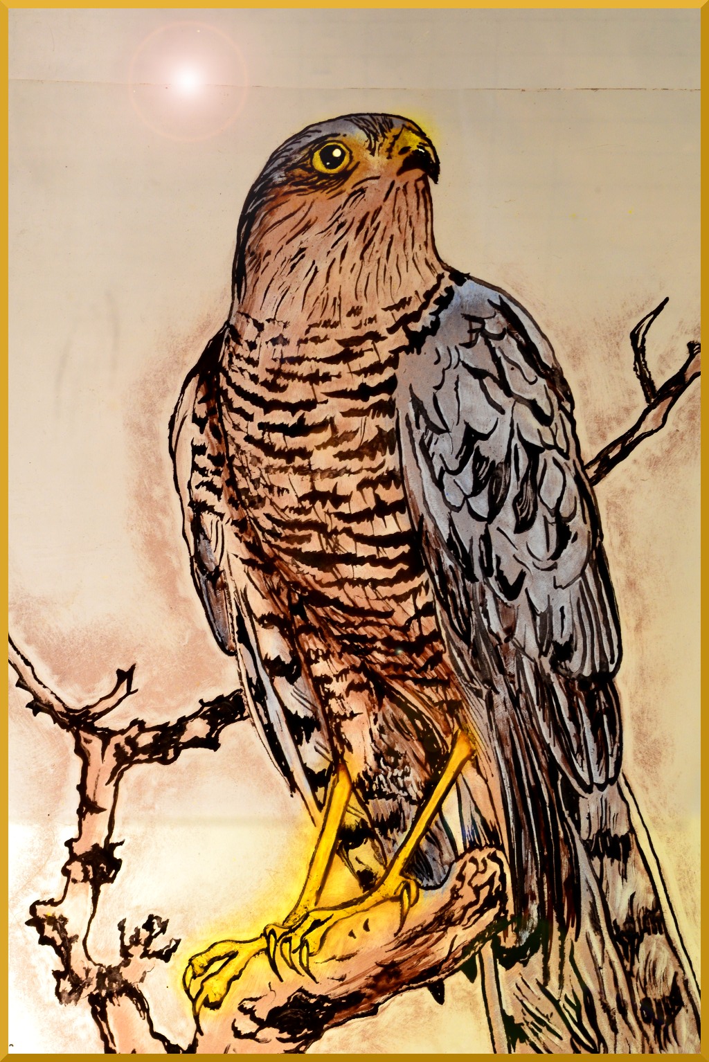Florian's
                    Falcon