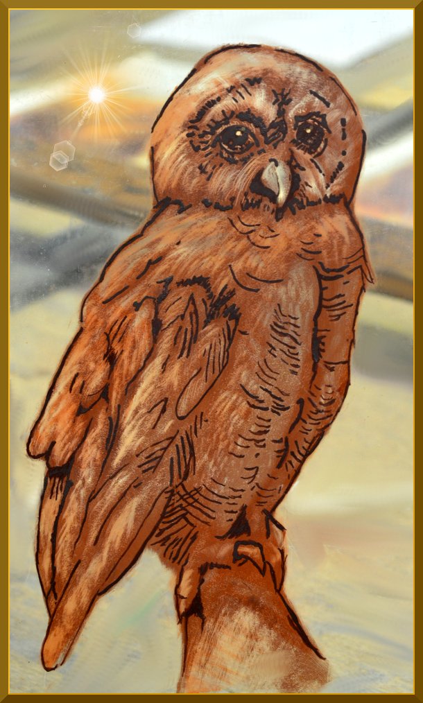 Hibou